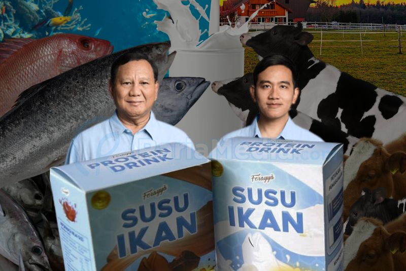 Susu ikan menjadi alternatif yang tengah dipertimbangkan pemerintah dalam memenuhi kebutuhan program susu gratis Prabowo - Gibran.